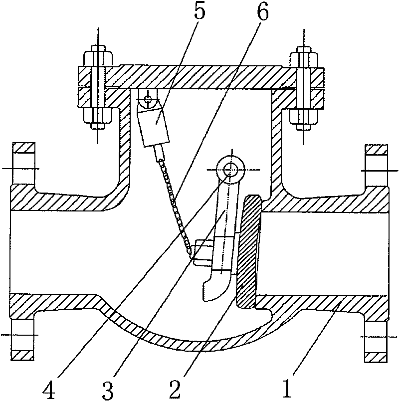 Check valve