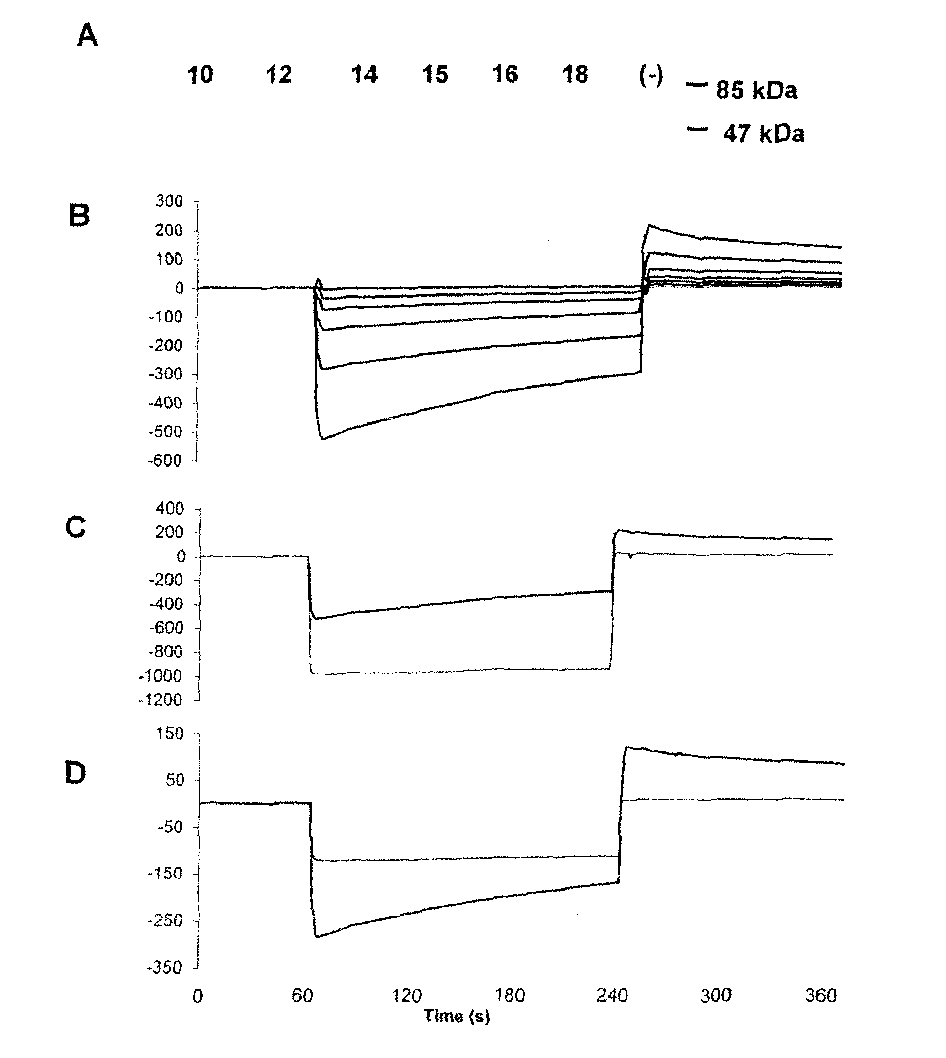 Polypeptides, Cyclic Polypeptides and Pharmaceutical Comprising Thereof for Non Invasive Specific Imaging of Fibrosis