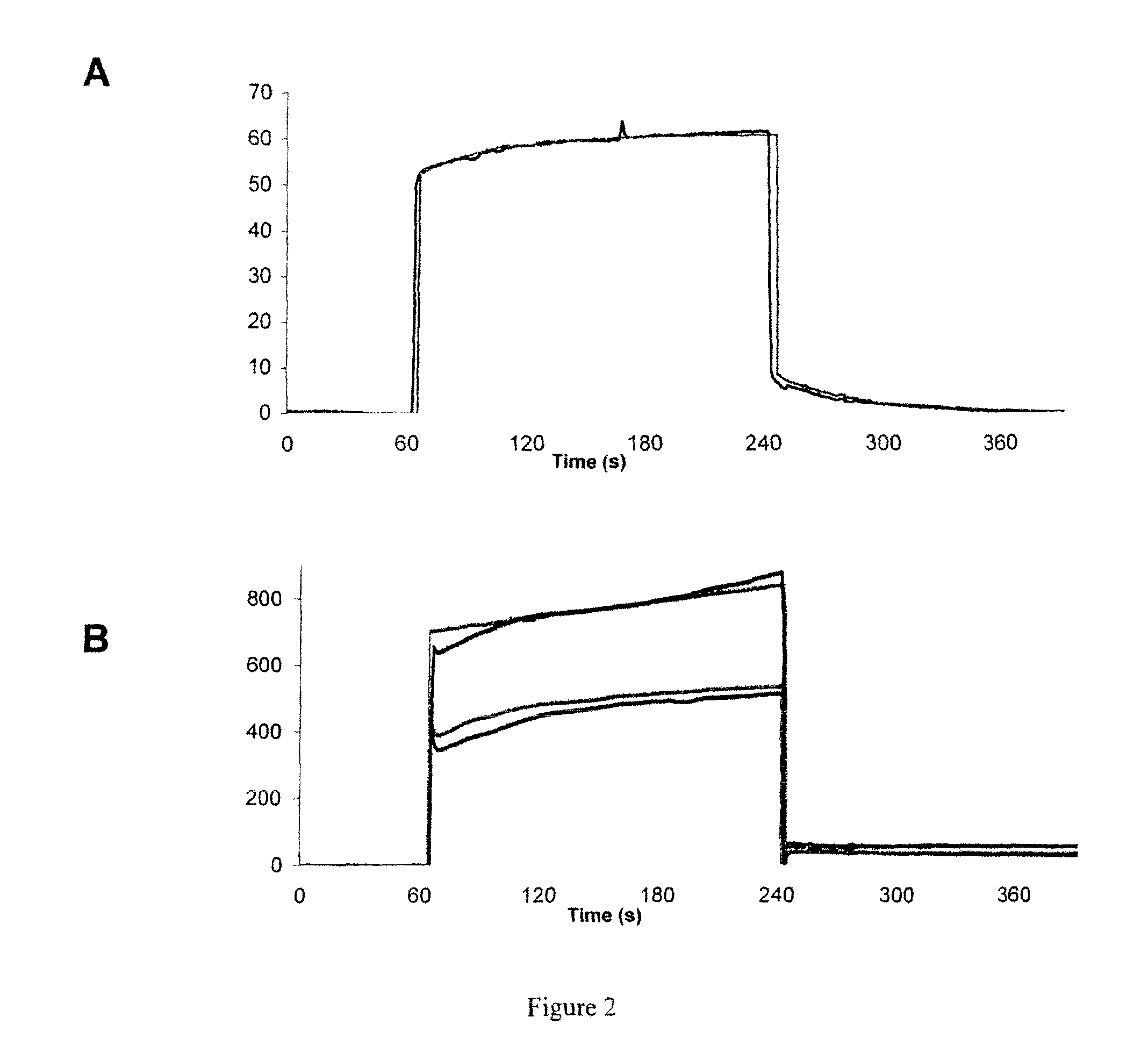 Polypeptides, Cyclic Polypeptides and Pharmaceutical Comprising Thereof for Non Invasive Specific Imaging of Fibrosis