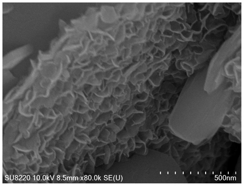 1T-MoS2/NiS heterogeneous interface structure catalyst for electro-catalytic hydrogen evolution as well as preparation method and application of 1T-MoS2/NiS heterogeneous interface structure catalyst