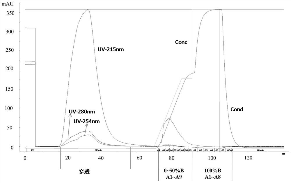 A combination of polyethylene glycol-polypeptide and protein drugs