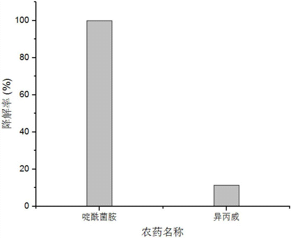 Lysinibacillus fusiformis strain and enzyme preparation, and application of same to degradation of pesticide residues