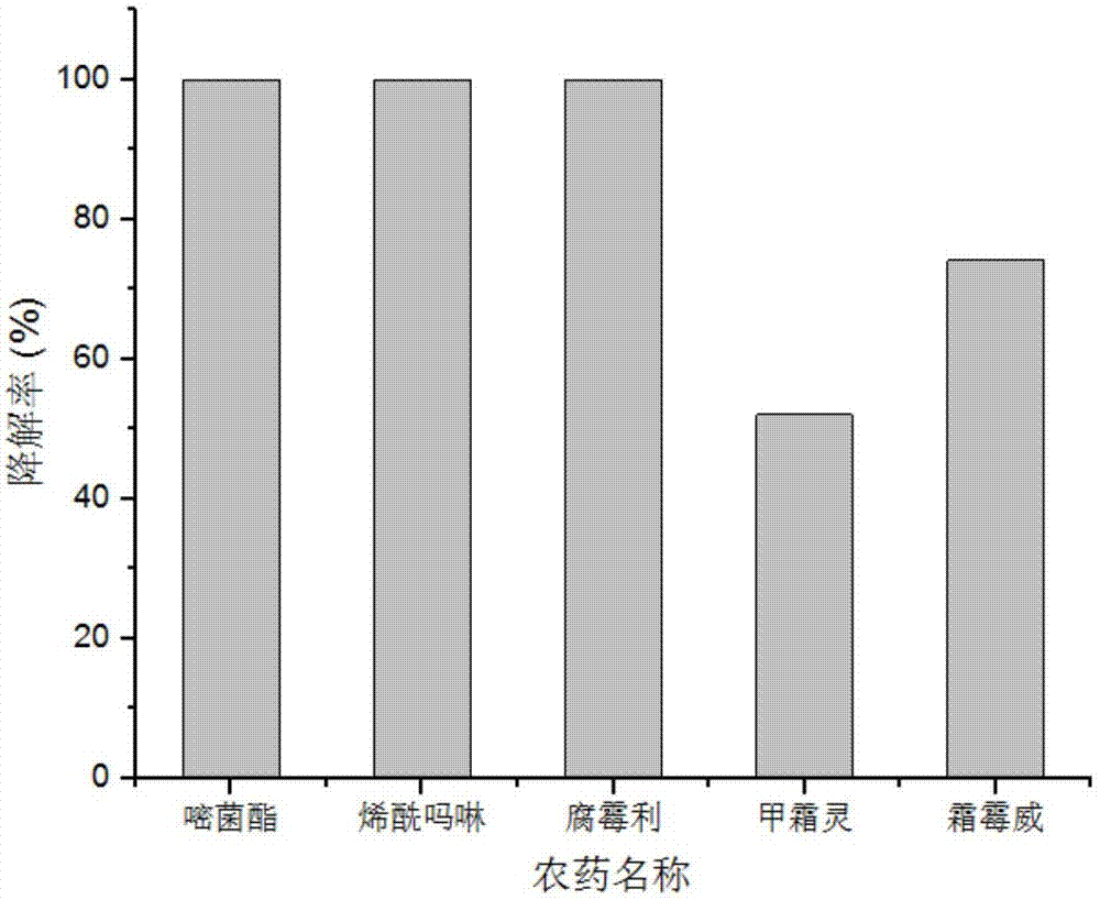 Lysinibacillus fusiformis strain and enzyme preparation, and application of same to degradation of pesticide residues