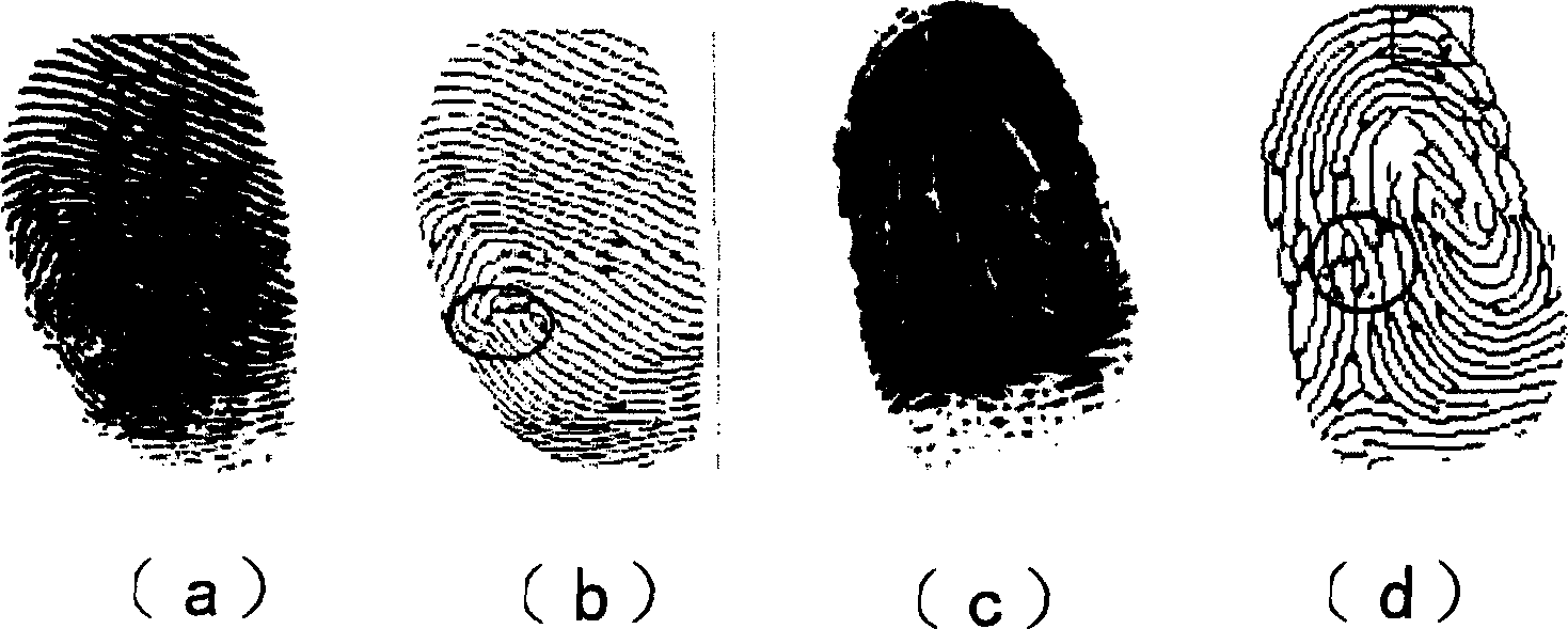 Deformed fingerprint identification method based on local triangle structure characteristic collection