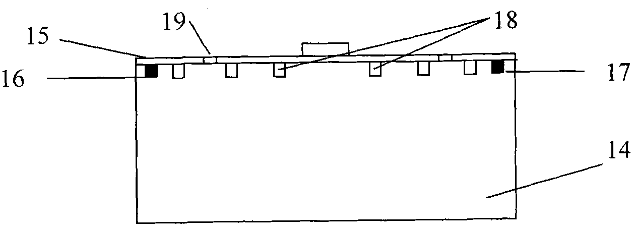 Intelligent cultivation method and device for producing bean sprouts