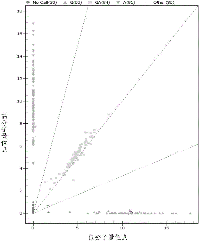 SNP (single nucleotide polymorphism) marker correlated with characteristic of short stature of Chinese domestic horses and application of SNP marker