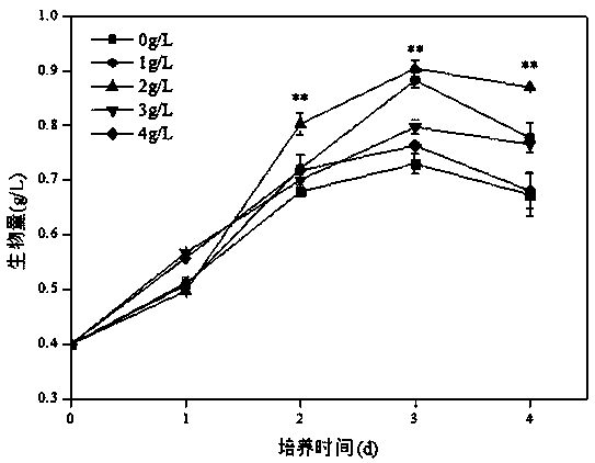 Method for cultivating monoraphidium sp. to produce biodiesel by using walnut shell extracting solution