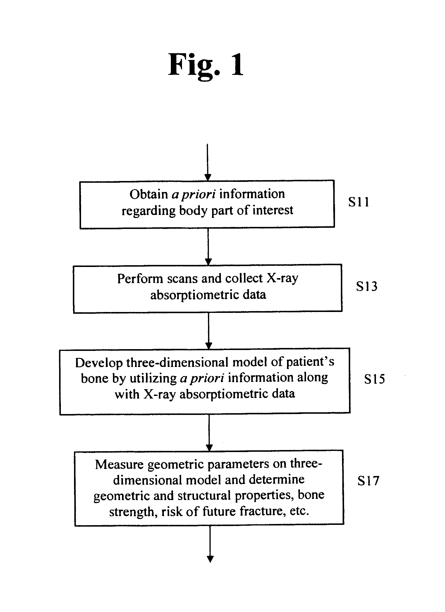 Estimating risk of future bone fracture utilizing three-dimensional bone density model