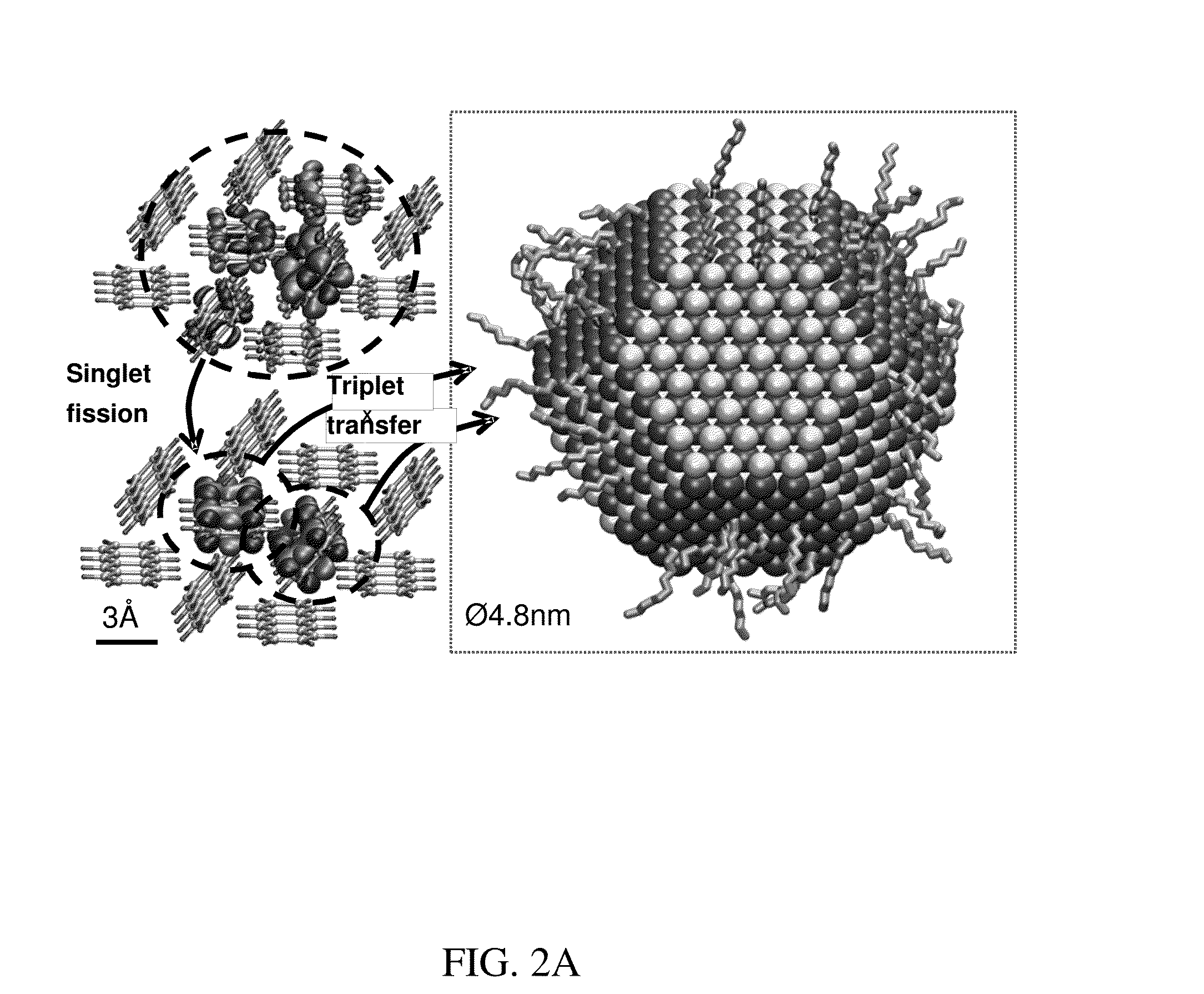 Compositions and methods for the downconversion of light