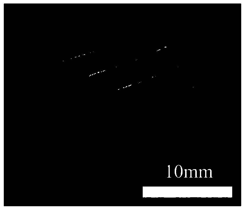 3D printed all-through tubular hydrogel support and preparation method thereof