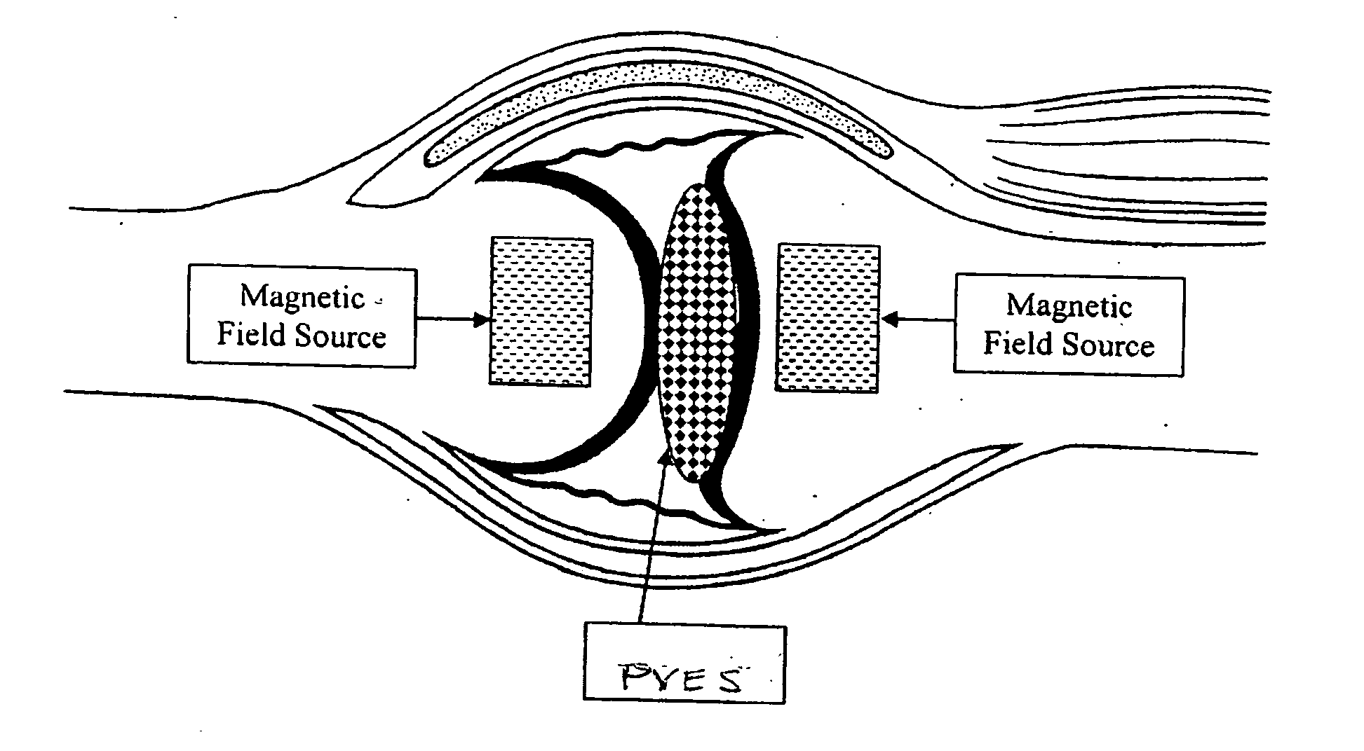 Paramagnetic liquid interface