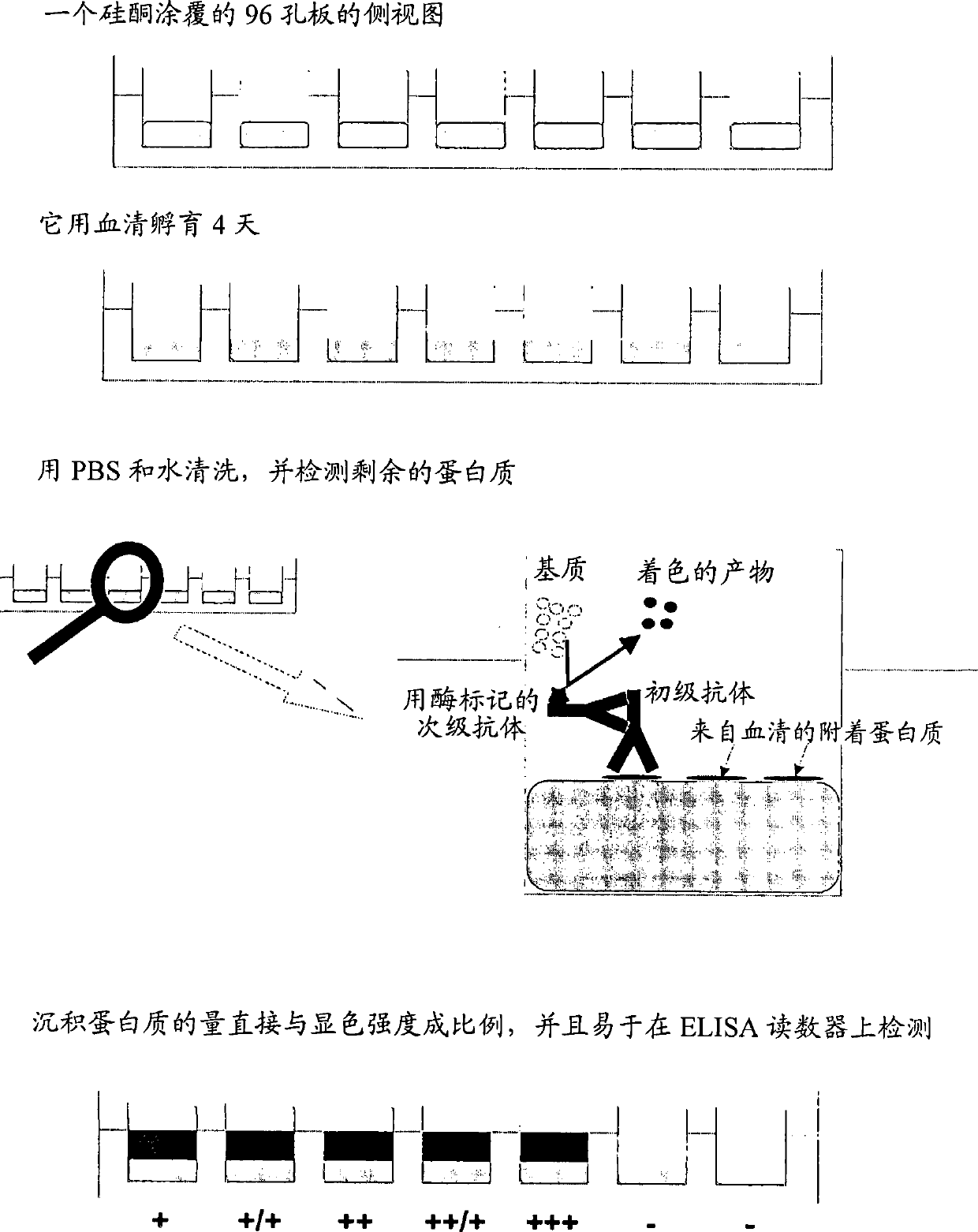 Test systems for the analysis of polypeptides and cells adhering to silicones