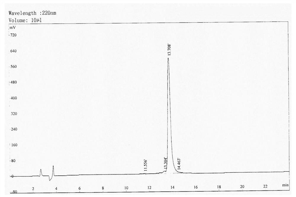 Fungus-derived cyclic peptidomimetic as well as preparation method and application thereof