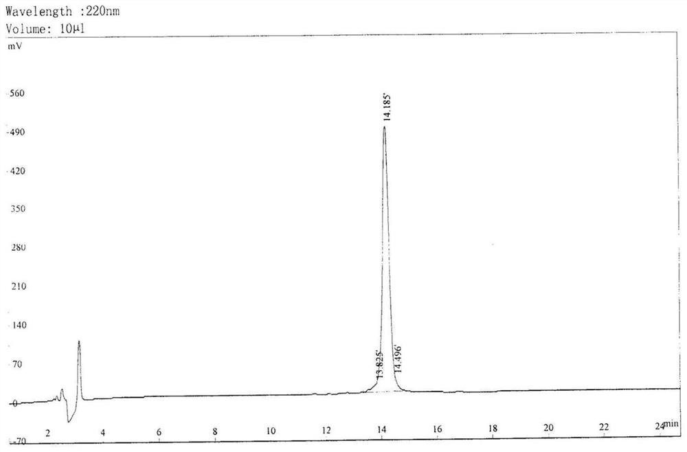 Fungus-derived cyclic peptidomimetic as well as preparation method and application thereof