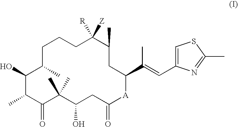 Epothilone Combinations