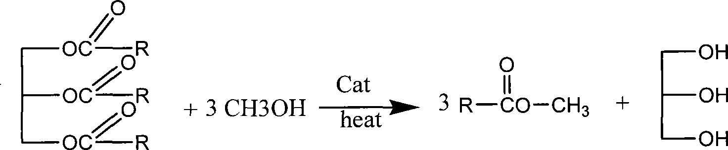 Solid base catalyst and applications of biological diesel oil synthesizing