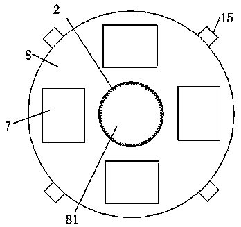 Automatic feeding device for plastic processing