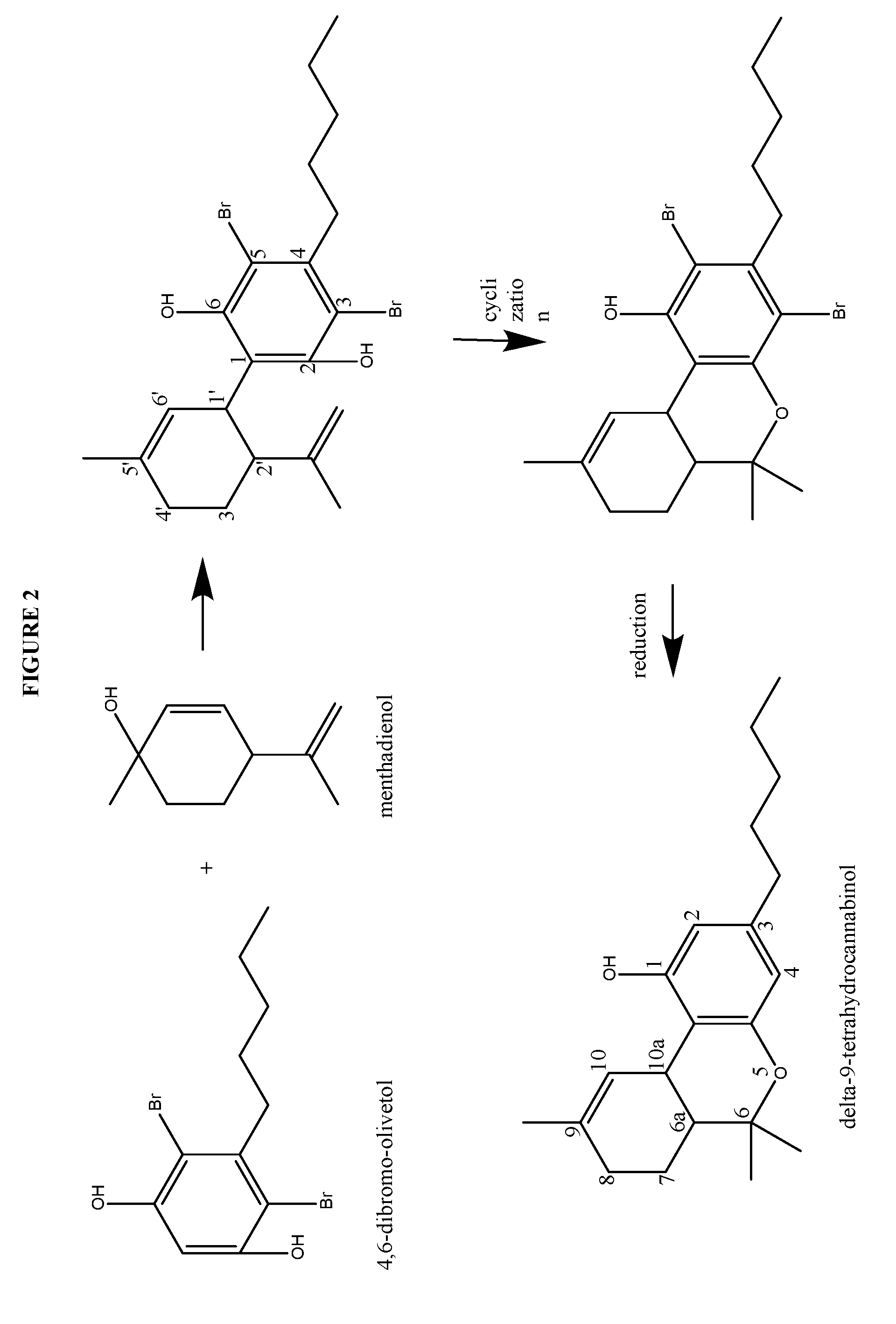 Process for the production of cannabidiol and delta-9-tetrahydrocannabinol