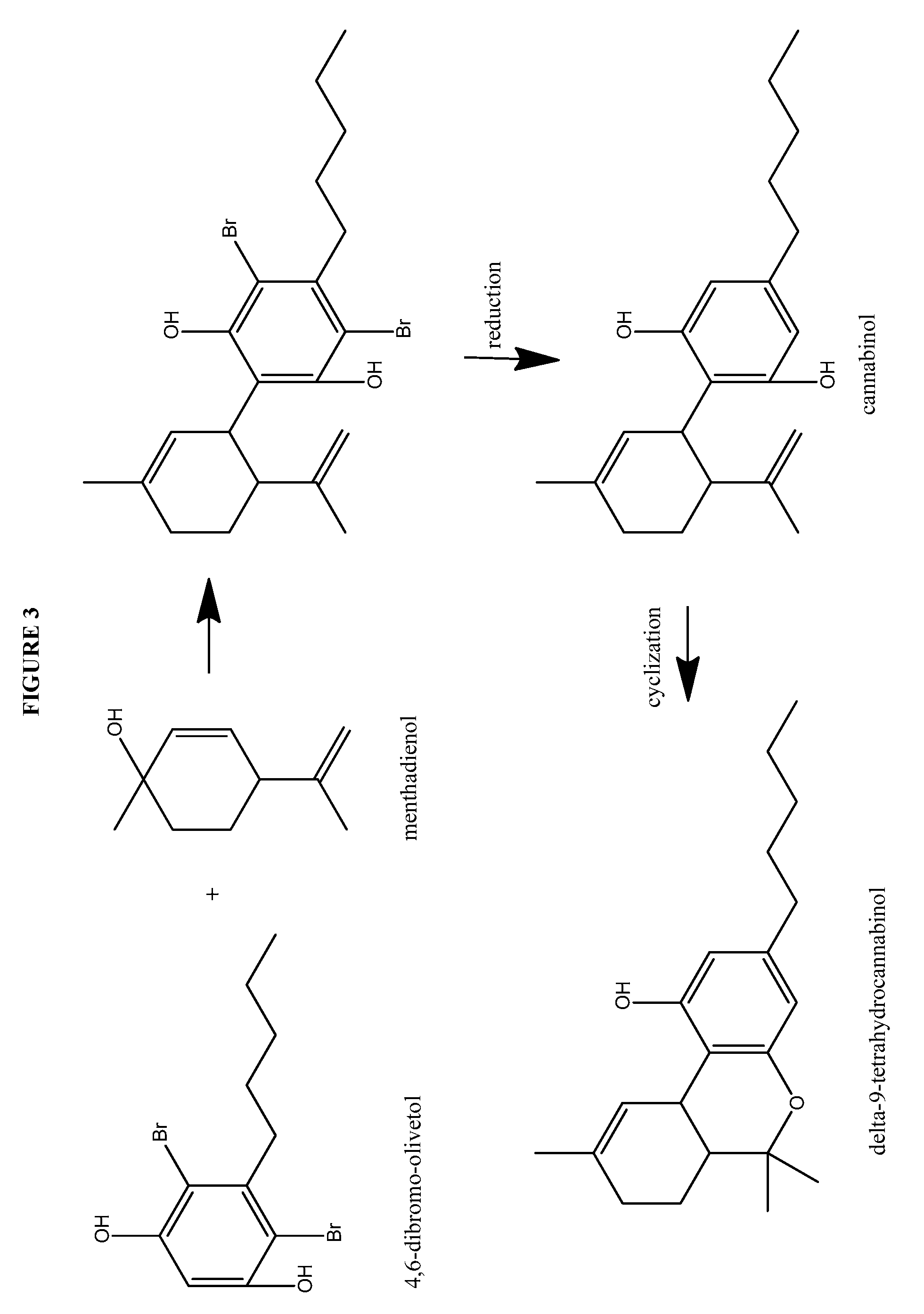 Process for the production of cannabidiol and delta-9-tetrahydrocannabinol