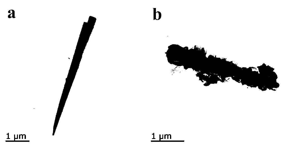 Cobalt sulfide/layered double metal hydroxide composite electrocatalyst and preparation method thereof