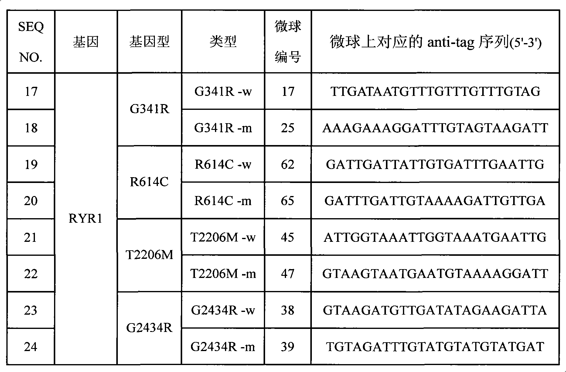 SNP (Single Nucleotide 0olymorphism) detection specific primer, liquid-phase chip and detection method of RYR1 (Ryanodine Receptors 1) gene