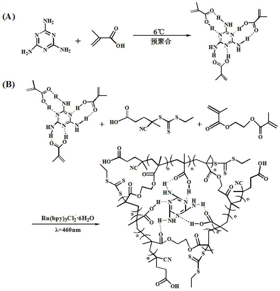 A method for preparing molecularly imprinted sensors by photocatalytic raft polymerization and its application