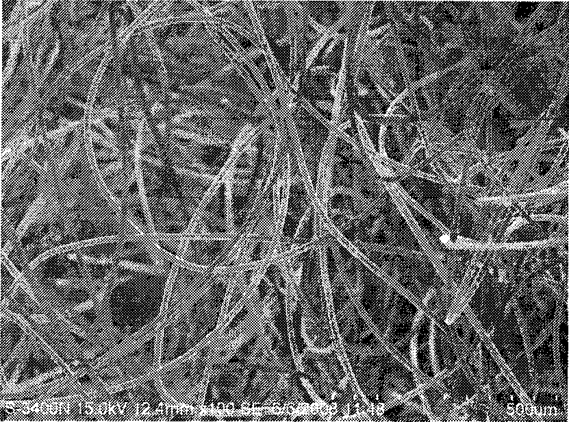 Preparation of polyglycolic acid-porcine islet complex