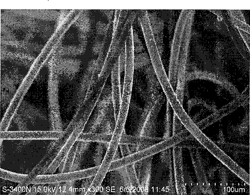 Preparation of polyglycolic acid-porcine islet complex