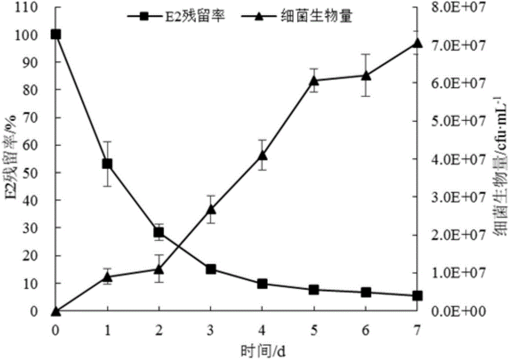 17 beta-estradiol degrading strain and application thereof