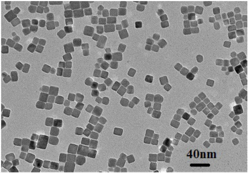 Citrate modified up-conversion luminescent nano material and preparation method thereof, hydrogen peroxide or uric acid detection method and applications