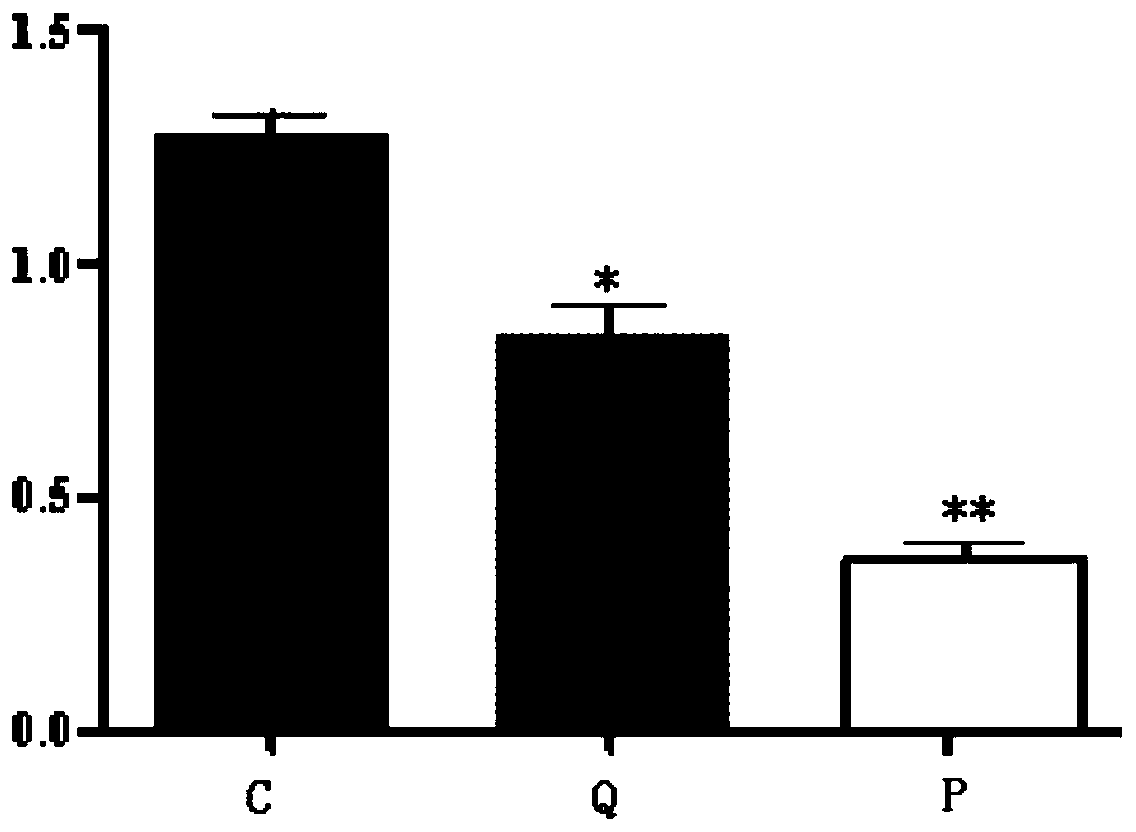 Application of Quail Egg and Quail Egg Ovomucoid in Anti-allergy