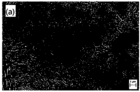 Heat treatment method for re-sorbitizing steel wires or steel strips