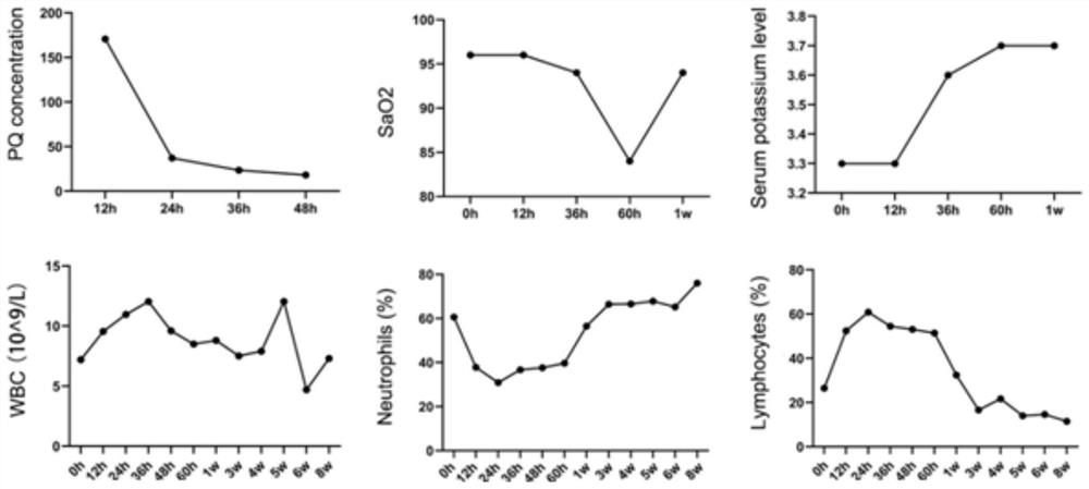 Method for establishing pulmonary fibrosis rhesus monkey model