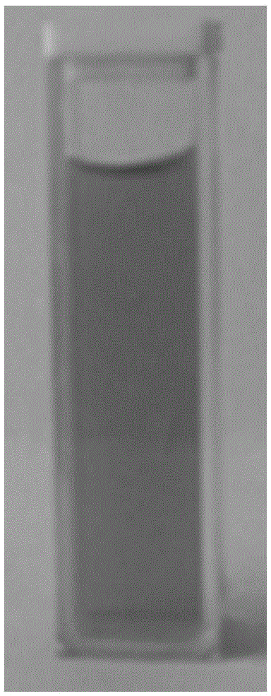 Nanosilver/graphene oxide composite dispersion fluid, and preparation method and application thereof