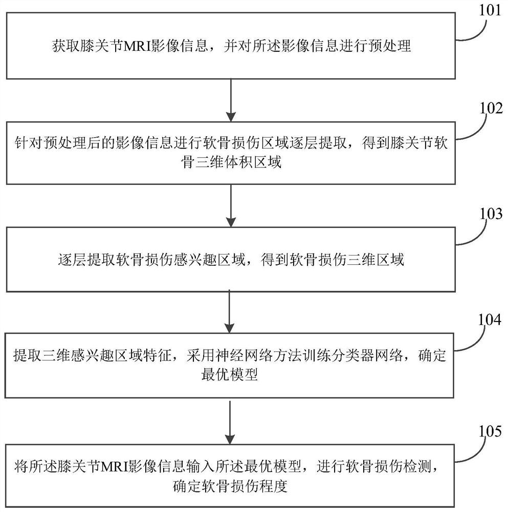 Knee joint cartilage injury detection method and system