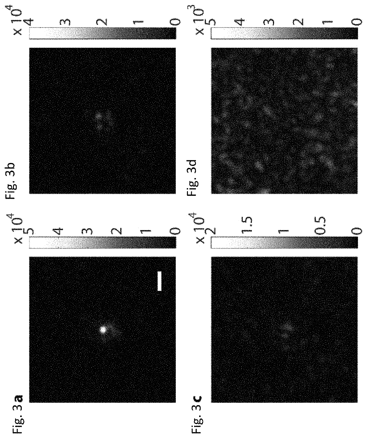 Focusing light inside scattering media with magnetic particle guided wavefront shaping