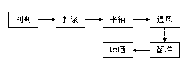 Chinese pennisetum drying method