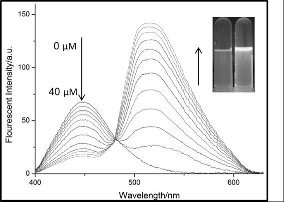 Preparation and application of novel fluorescent probe and test paper for hydrazine hydrate detection