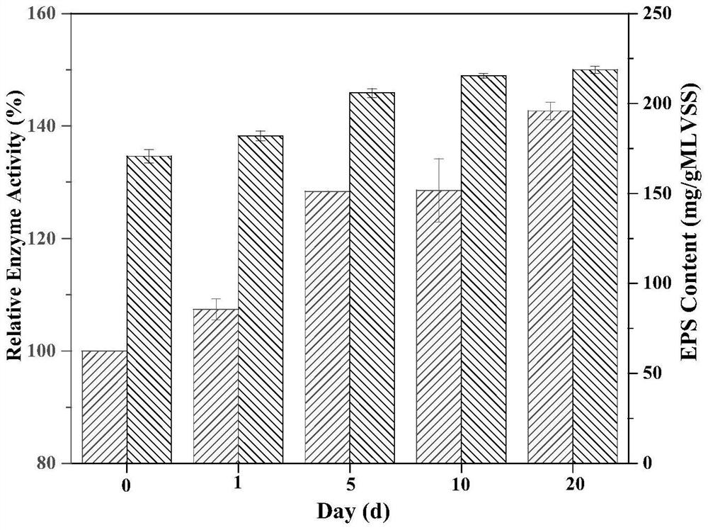 Method for enhancing anaerobic biodegradation of halogenated phenol by static magnetic field