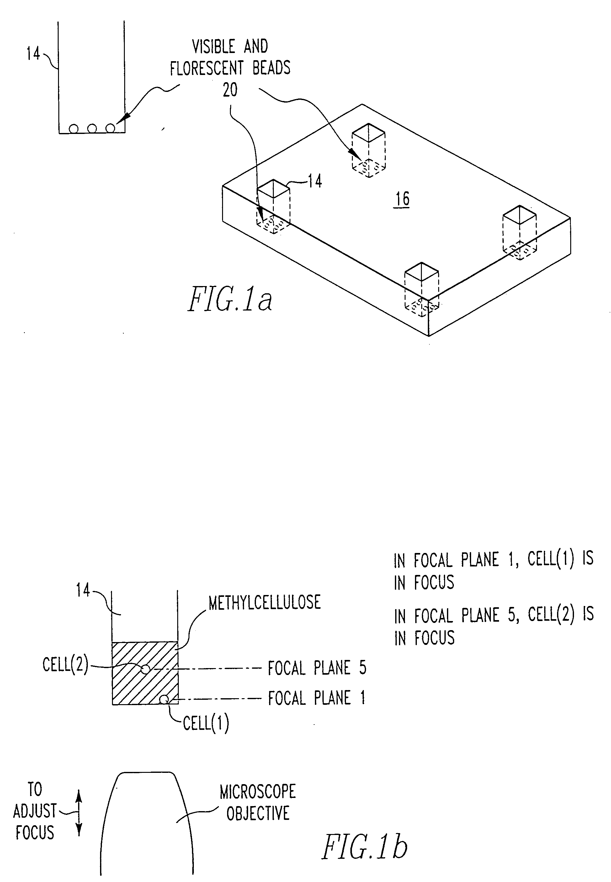 Method and apparatus for monitoring of proteins and cells