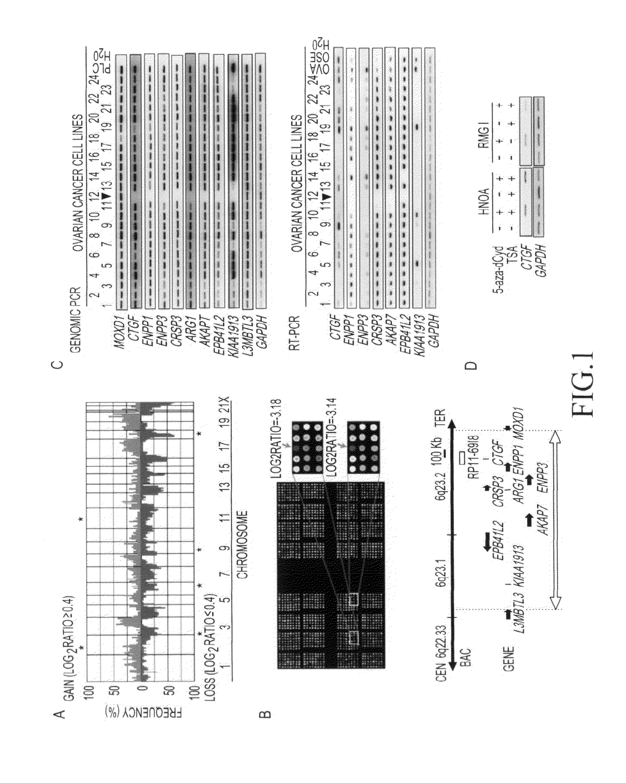 Method for detecting ovarian cancer and method for suppressing the same