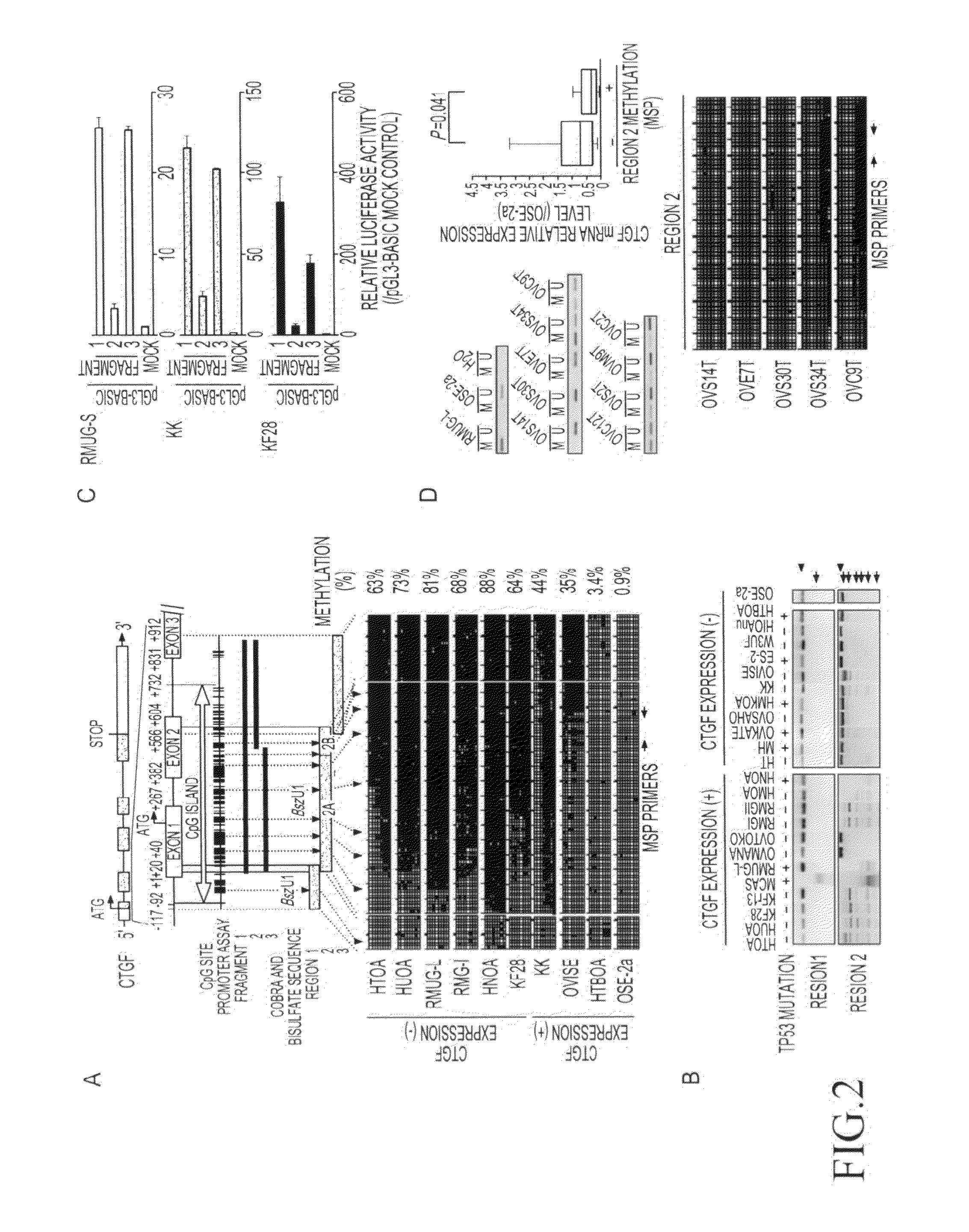 Method for detecting ovarian cancer and method for suppressing the same