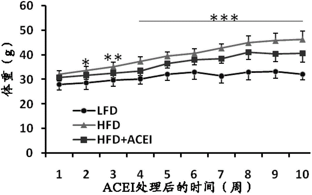 Application of angiotensin converting enzyme inhibitor