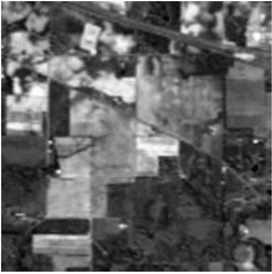 Hyperspectral image space-spectral domain classification method based on mean value drifting and group sparse coding