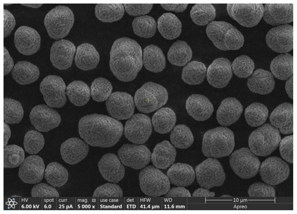 Layered quaternary cobalt-free single crystal precursor and preparation method of positive electrode material