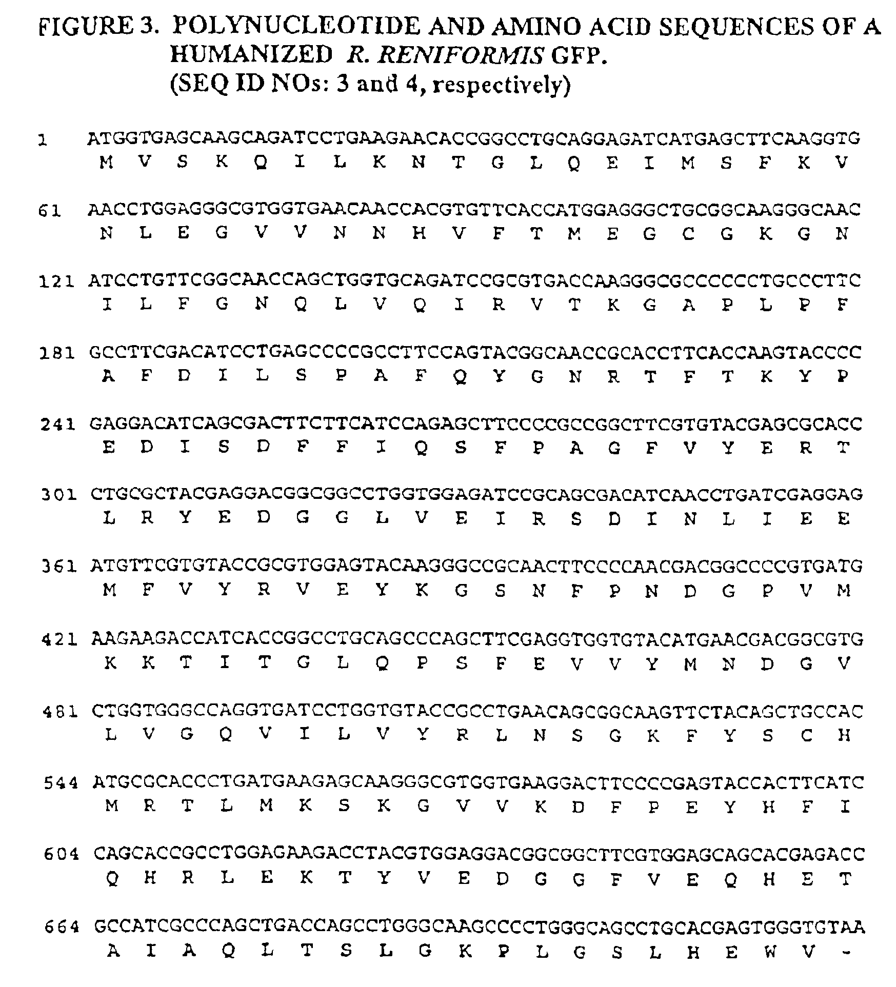 Dimeric flourescent polypeptides