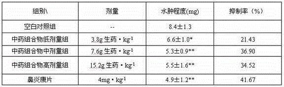 Traditional Chinese medicine composition for treating allergic rhinitis and preparation method