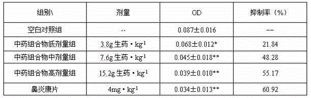 Traditional Chinese medicine composition for treating allergic rhinitis and preparation method