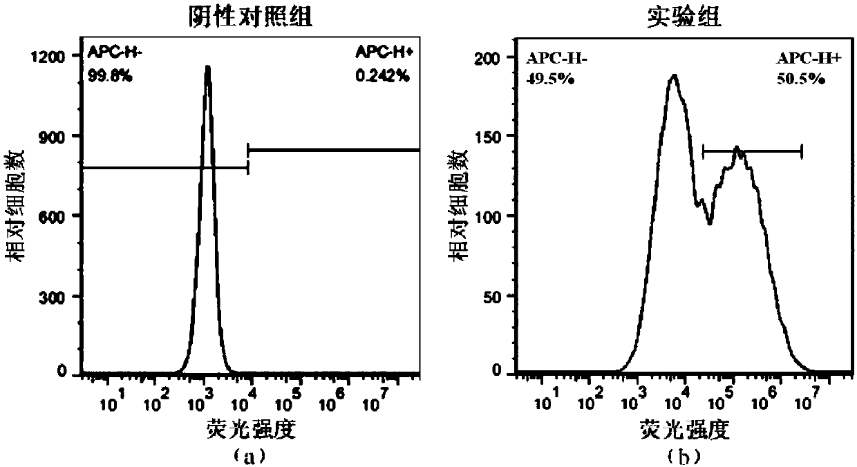 PD1-knockout chimeric antigen receptor T cell targeting EGFR, preparation method and application thereof