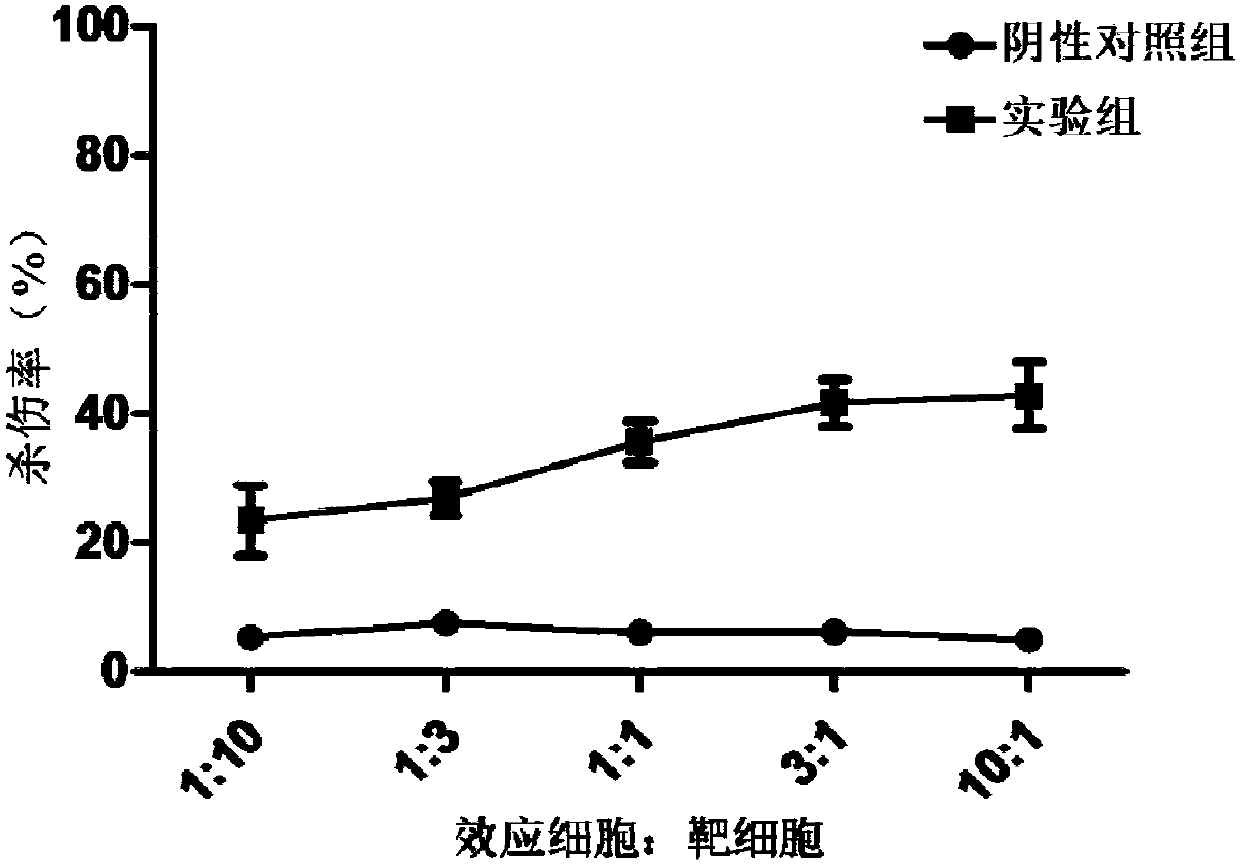 PD1-knockout chimeric antigen receptor T cell targeting EGFR, preparation method and application thereof